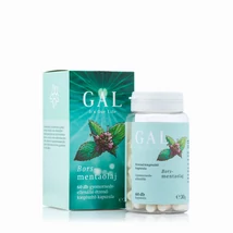 GAL Borsmentaolaj 60 db