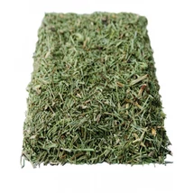 Gyógyfű mezei zsurlófű tea 50 g
