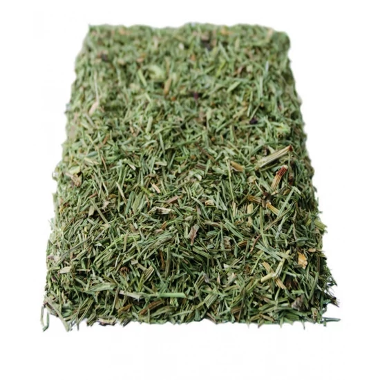 Gyógyfű mezei zsurlófű tea 50 g